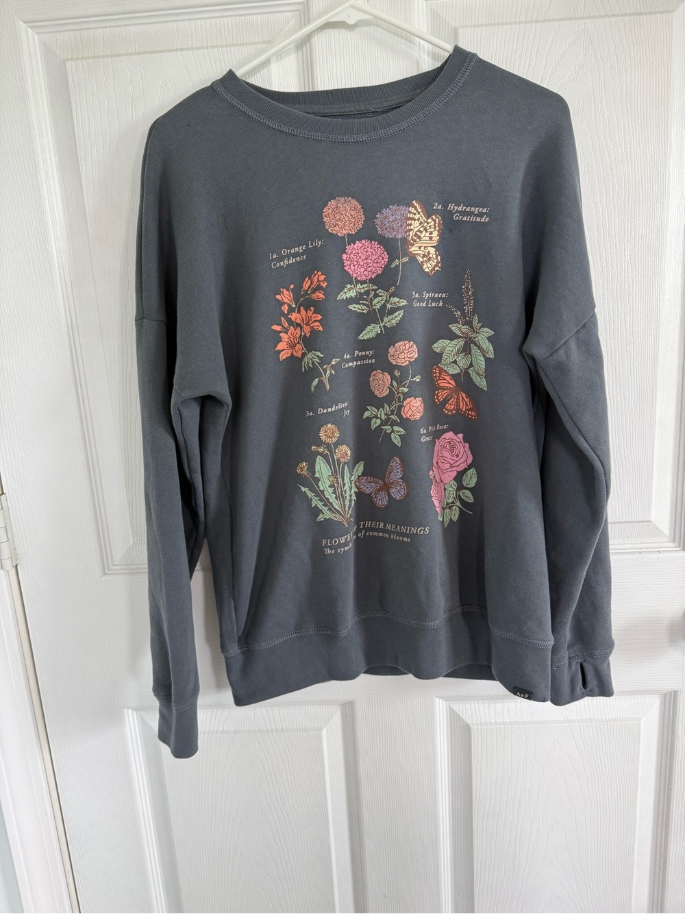 Abercrombie Kids 15/16 Floral Butterfly Graphic Sweatshirt Oversized Fall Boho